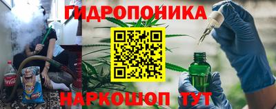 a pvp Бийск
