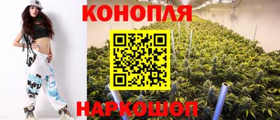 ГАЛЛЮЦИНОГЕННЫЕ ГРИБЫ Беслан
