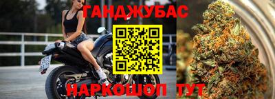 a pvp Бийск