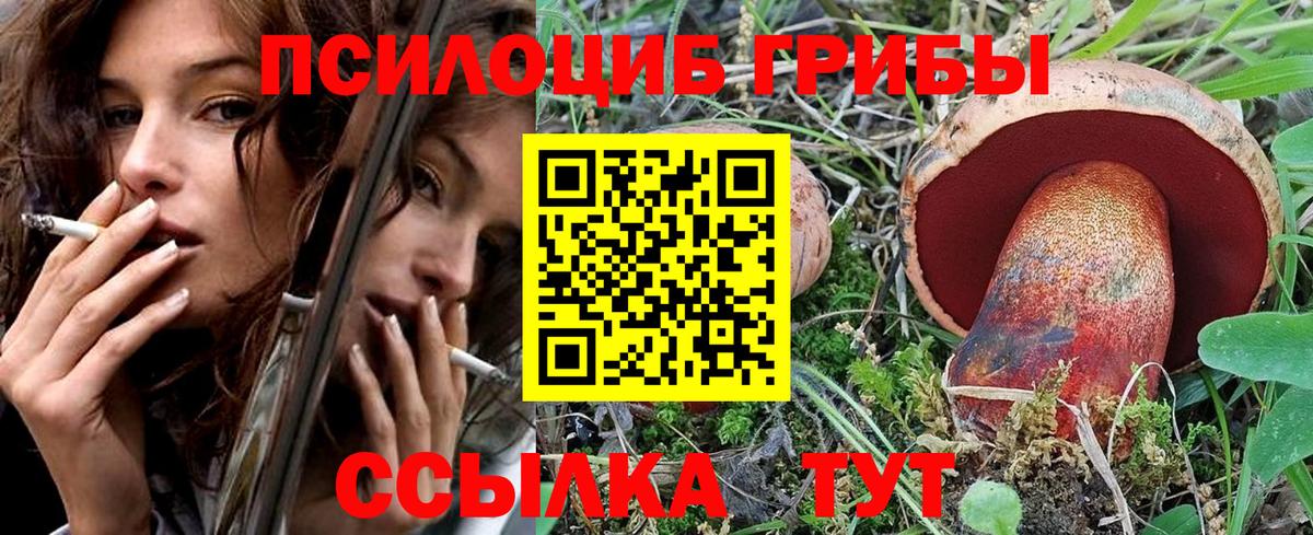 Галлюциногенные грибы MAGIC MUSHROOMS  Галлюциногенные грибы мухоморы  Калининград  Вход с VPN 