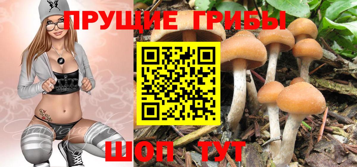 Псилоцибиновые грибы мухоморы Калининград